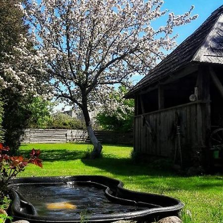Hotel Viesu Nams Klanas Engure Zewnętrze zdjęcie
